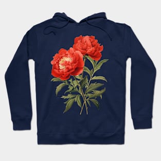 Botanical illustration of peonies Hoodie